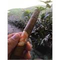 Laranja Reserva Toro 6  * 52