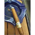 Asylum Insidious Toro 6  * 52