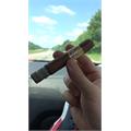 Asylum Insidious Robusto 5  * 50