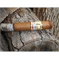 Asylum Insidious Robusto 5  * 50