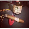 Asylum Insidious Robusto 5  * 50