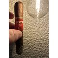 Joya Red Robusto 5 1/4 * 50