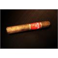 Joya Red Short Churchill 4 3/4 * 48