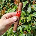 Joya Red Toro 6  * 52