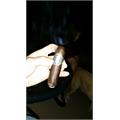 Liga Undercrown Maduro Flying Pig 4  * 60