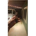 Liga Undercrown Maduro Flying Pig 4  * 60