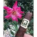 Herrera Esteli Norteno Toro Especial 6  * 50