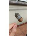 Aging Room La Boheme Musico 6 1/4 * 60