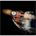 Perdomo Double Aged 12 Year Sun Grown Epicure 6  * 56