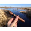 Cohiba Nicaragua N54 Toro 5 1/4 * 54