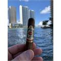Ashton Symmetry Belicoso 5 1/4 * 52