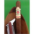 Ashton Symmetry Sublime 6  * 52