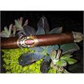 Alec Bradley Nica Puro Diamond Rough Cut 6  1/4 * 54