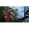 Illusione Fume D Amour Clementes 6 1/2 * 48