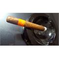 Patoro Serie P Robusto 5  1/8 * 54
