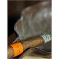Patoro Serie P Toro 6  * 58