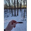 Romeo y Julieta 1875 Petite Bully 4  * 38