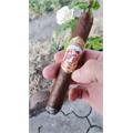 La Antiguedad Toro Gordo 6  * 60
