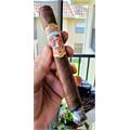 La Antiguedad Corona Grande 6 3/8 * 47