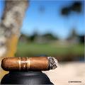 Nub Nuance Single Roast 354 3 3/4 * 54