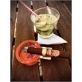 San Lotano The Bull Toro 6  * 54