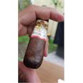 New World Navegante Robusto 5 1/2 * 55