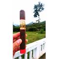 New World Gobernador Toro 6 1/2 * 55