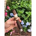 New World Gobernador Toro 6 1/2 * 55