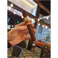 New World Gobernador Toro 6 1/2 * 55