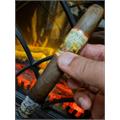 New World Gobernador Toro 6 1/2 * 55
