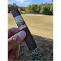 New World Gobernador Toro 6 1/2 * 55