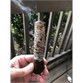 New World Virrey Gordo 6  * 58