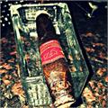 La Flor Dominicana Capitulo II 6 1/2 * 58