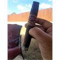 La Flor Dominicana Capitulo II 6 1/2 * 58