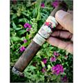 La Aroma de Cuba and San Cristobal 93-95 Rated Assortment, 5-Cigar Sampler