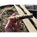 San Cristobal 60-Ring Assortment, 6-Cigar Sampler