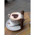Punch Signature Gigante 6  * 60