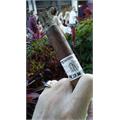Punch Signature Gigante 6  * 60