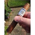 Punch Signature Gigante 6  * 60