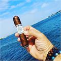 Punch Signature Robusto 5  * 54