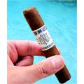 Punch Signature Robusto 5  * 54