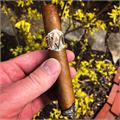 AVO XO Intermezzo 5  * 50