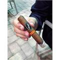 Davidoff Nicaragua Robusto Tubos 5  * 50