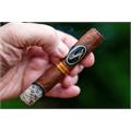 Davidoff Nicaragua Robusto Tubos 5  * 50