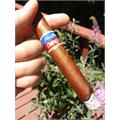 Flor de Oliva Corojo Toro 6  * 50