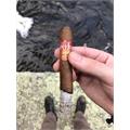 Isla del Sol SunGrown Robusto 5  * 52