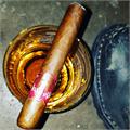 Isla del Sol SunGrown Robusto 5  * 52