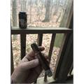 Isla del Sol SunGrown Robusto 5  * 52