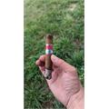 CLE Corojo 5  * 50
