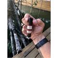Rocky Patel Sun Grown Maduro Robusto 5  * 50